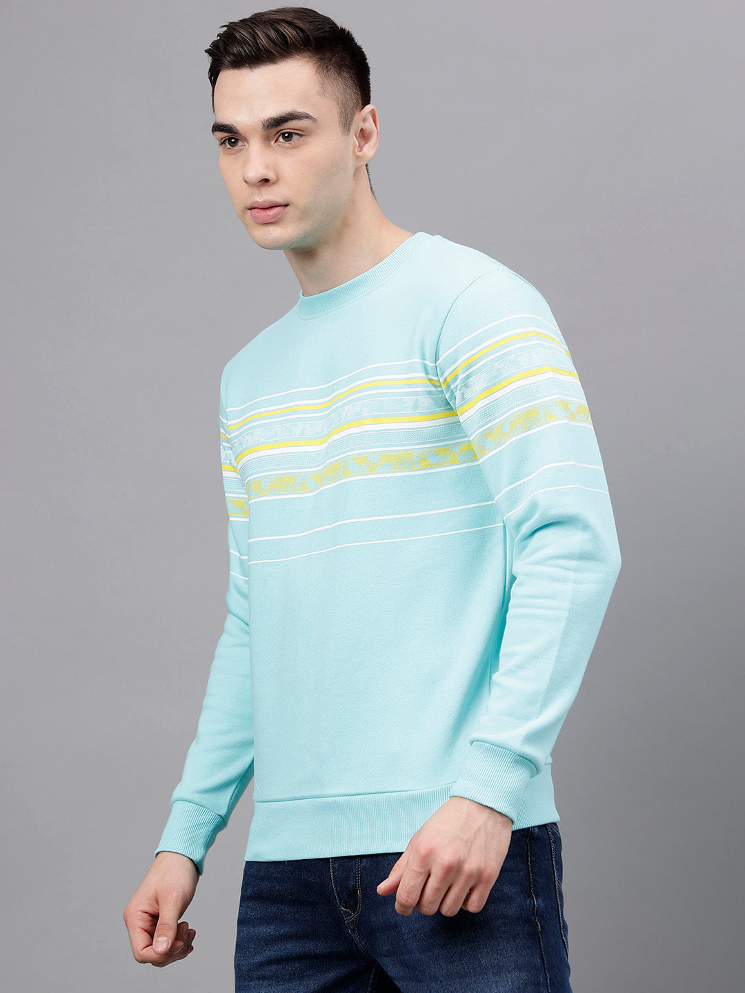 Men Sea Green Standard Fit Striped Sweat Shirt