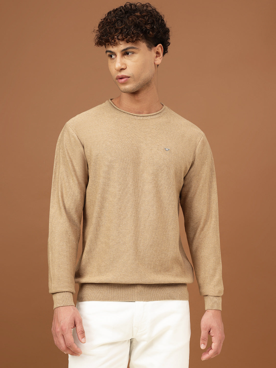 Richlook Men Crew Neck Mélange Sweater