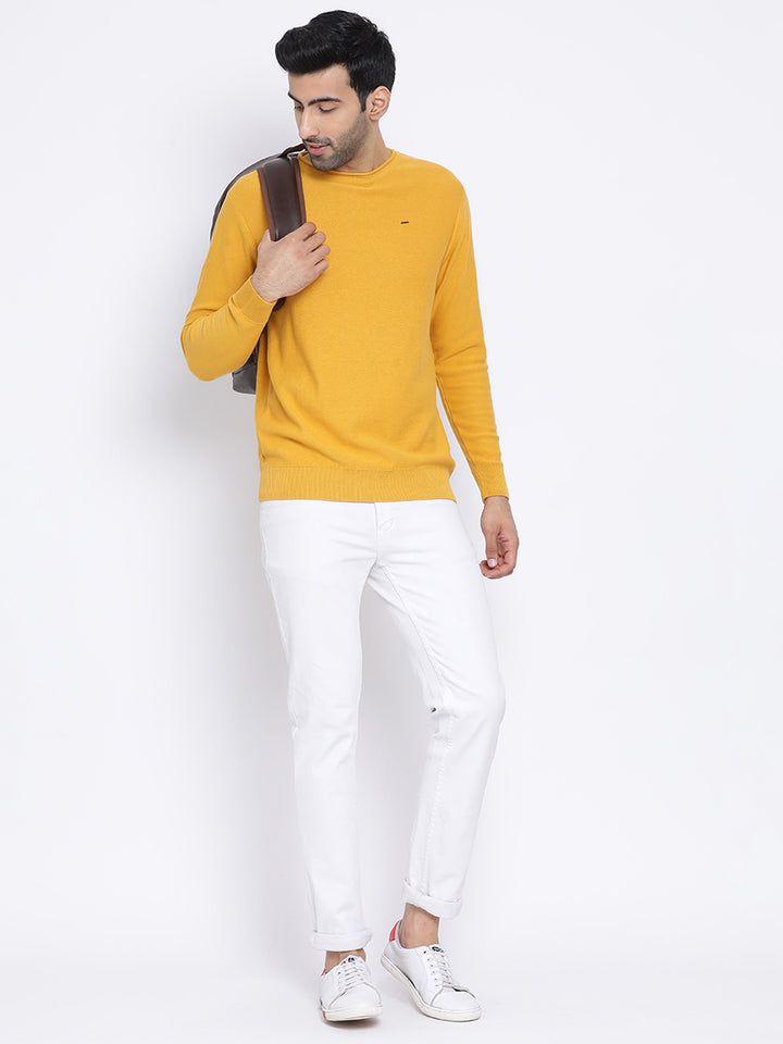 Men Mustard Regular Fit Round Neck Full Sleeve Sweater